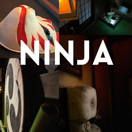 Orlando-NINJA-EK-pic